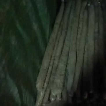 白玉通货货
