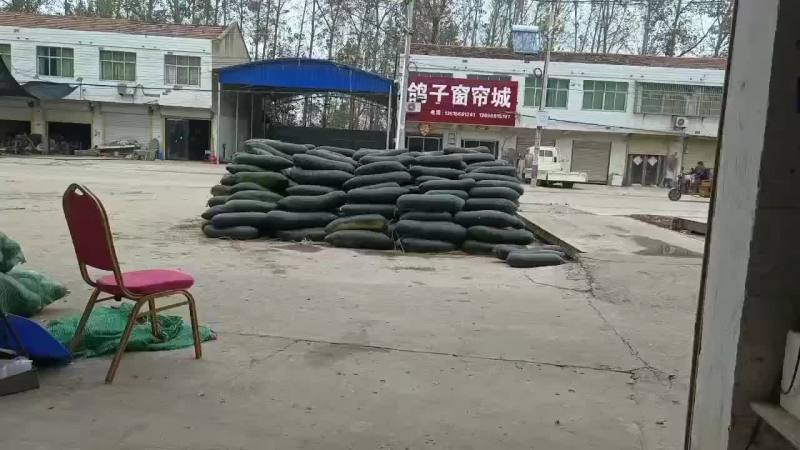 黑皮冬瓜大量上市，有需要的可以联系