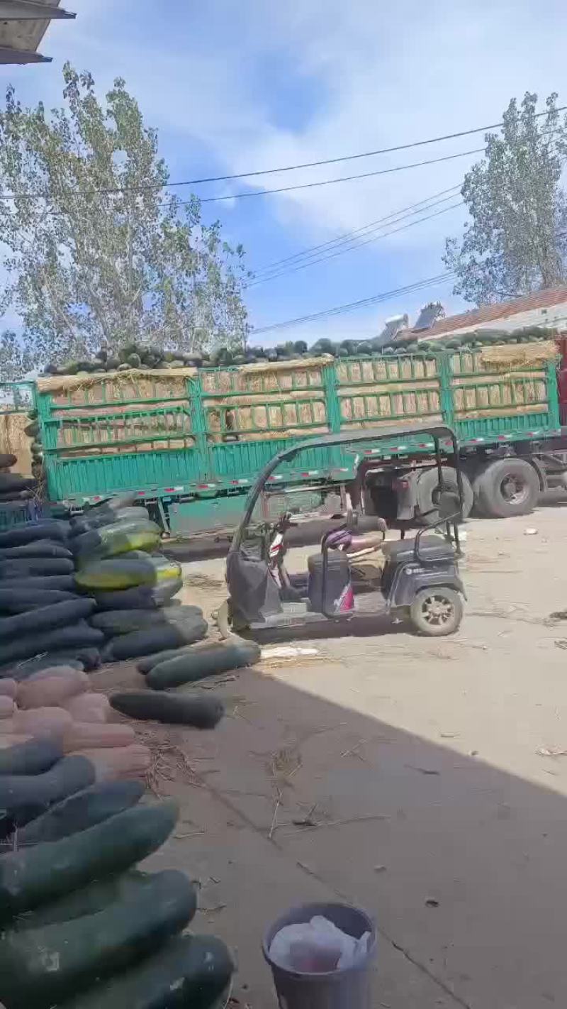 黑皮冬瓜大量上市，有需要的可以联系