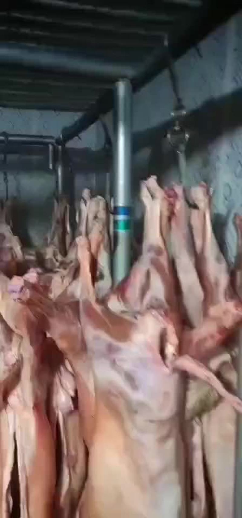 冷链配送到家，纯干无水，全国发货，量大！需要的联系。
