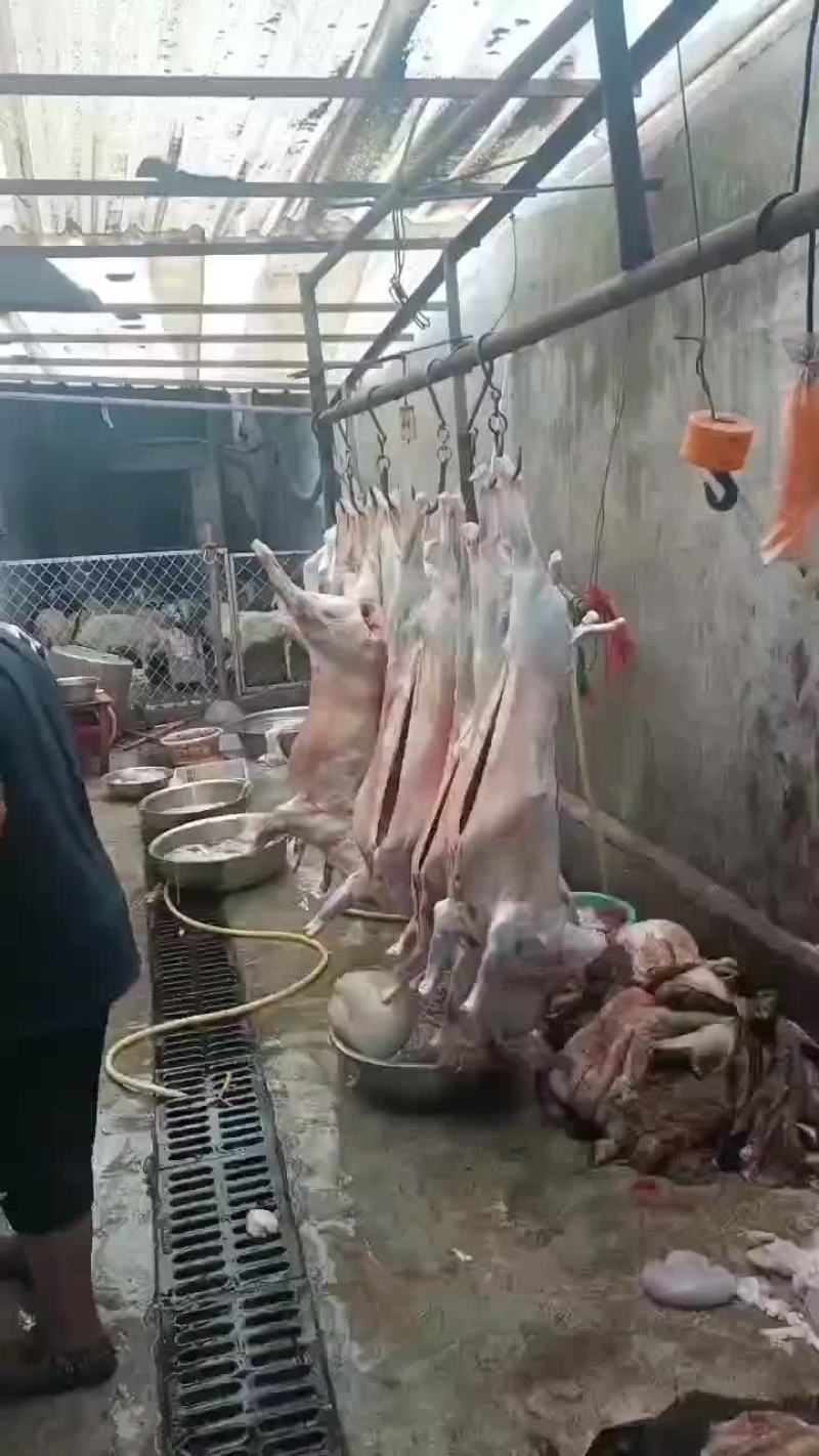 冷链配送到家，纯干无水，全国发货，量大！需要的联系。