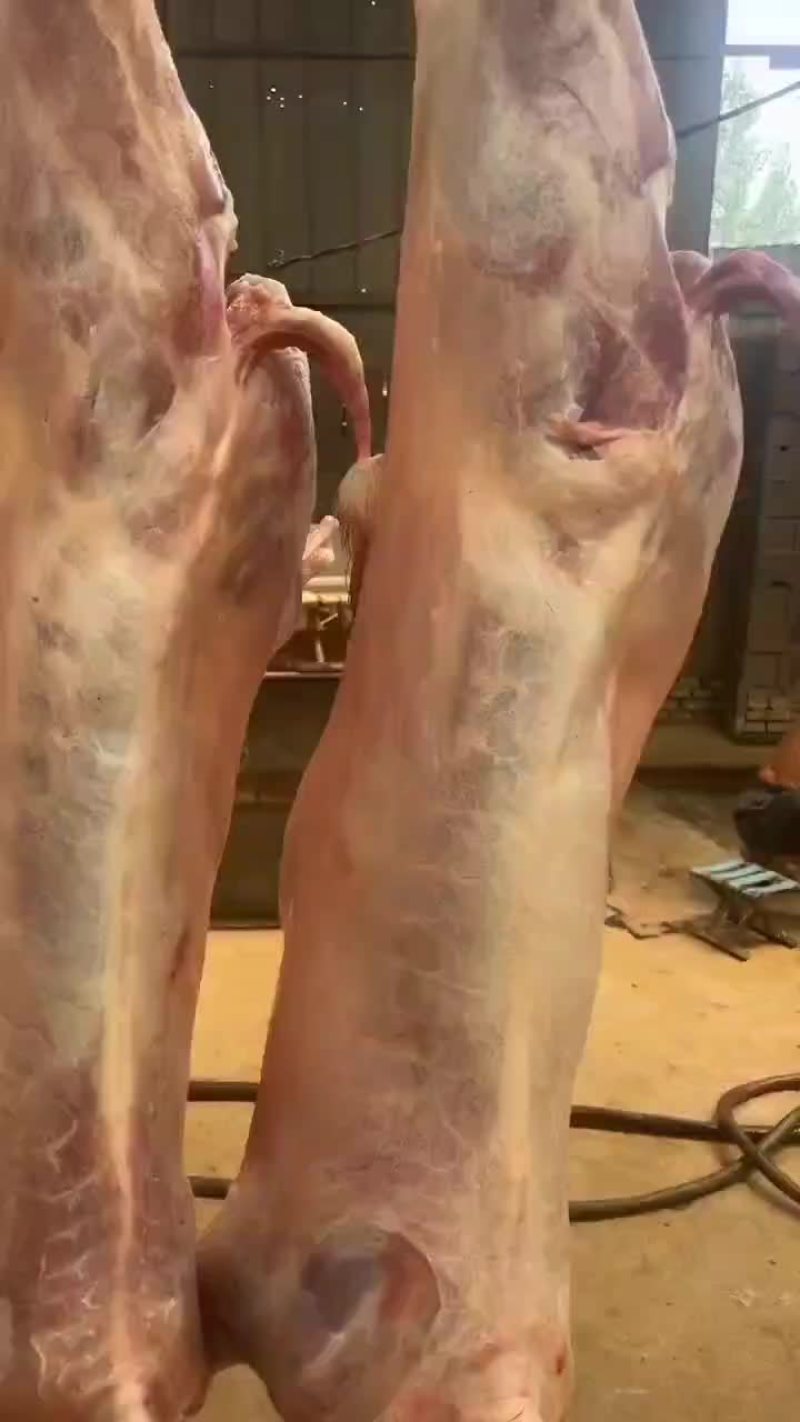 冷链配送到家，纯干无水，全国发货，量大！需要的联系。