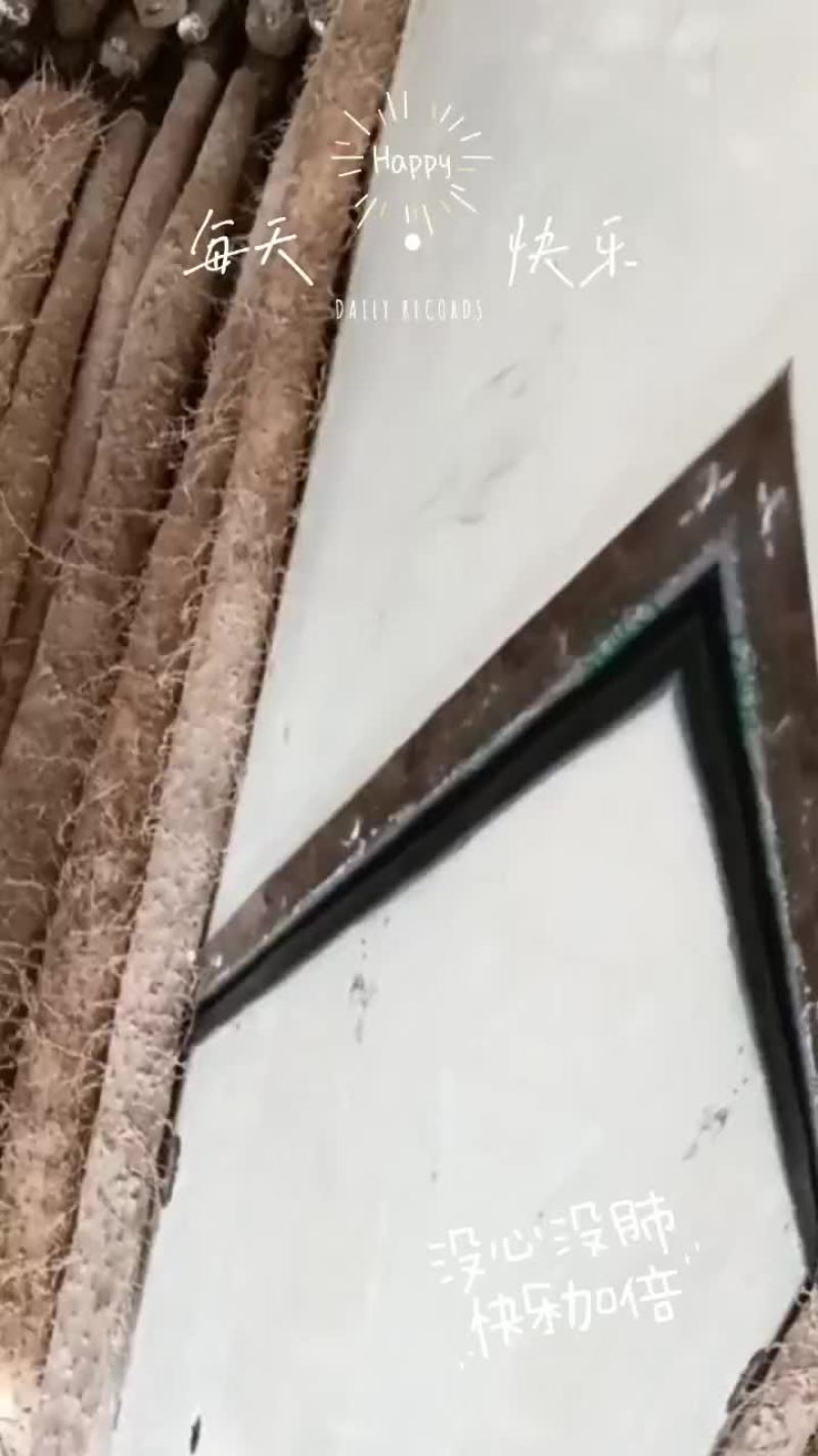 白玉通货货