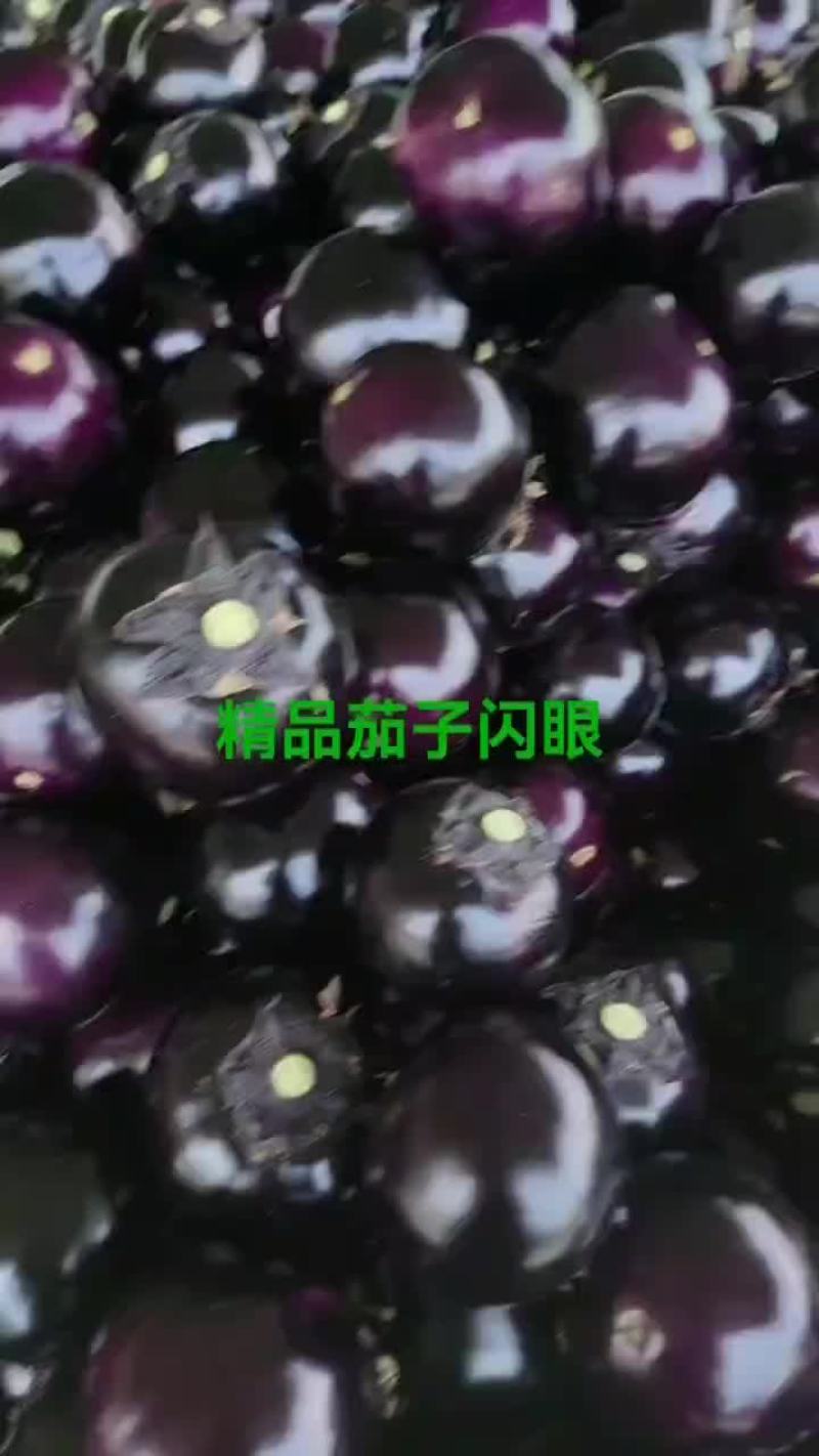 电商紫光圆茄