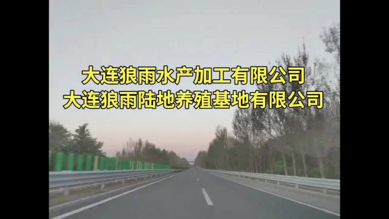 生蚝