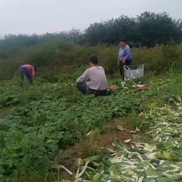 抓紧时间下单