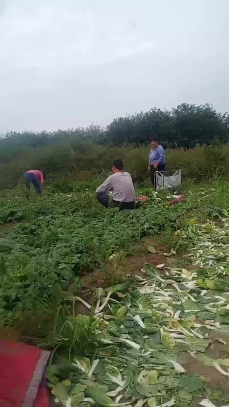 抓紧时间下单