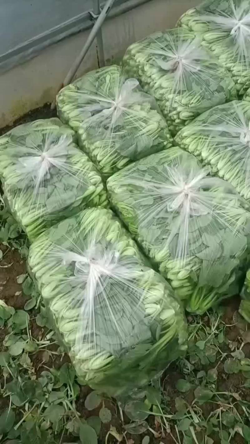 360度无死角送货
