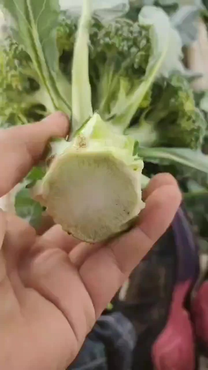 产地直供，优质西兰花，保质保量