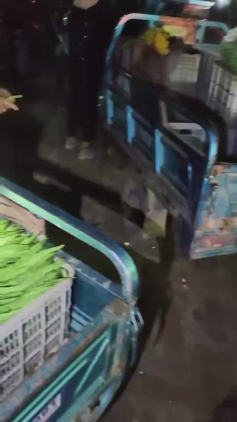 扁豆