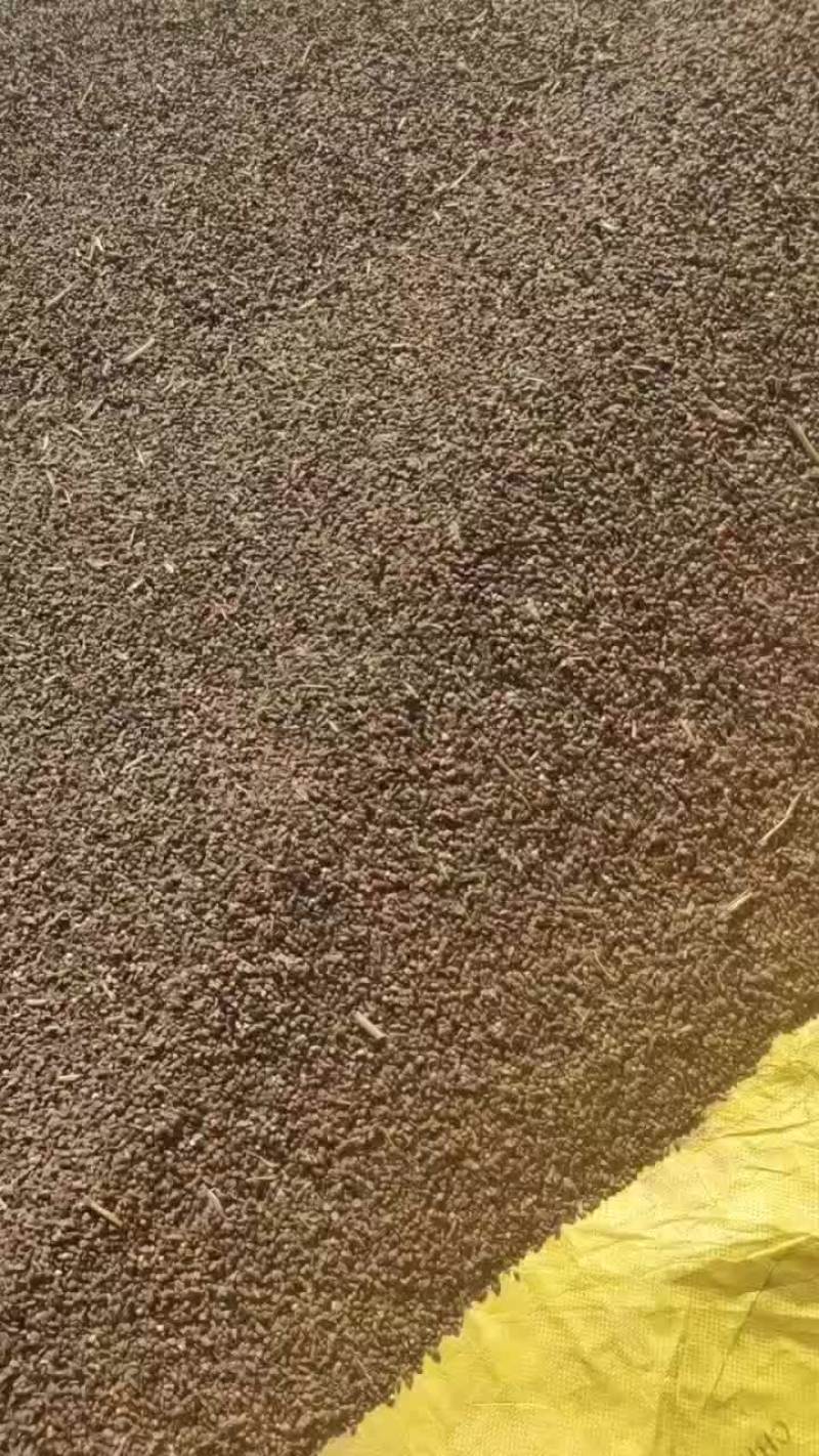 卖桥麦
