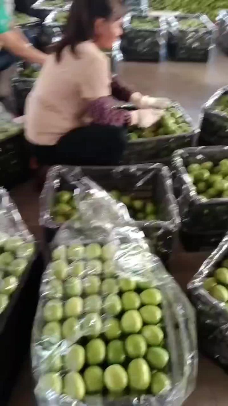 青枣