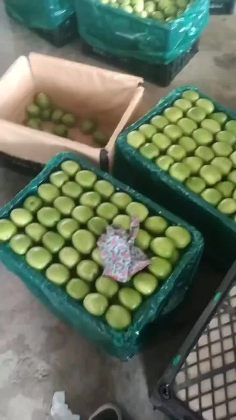 青枣