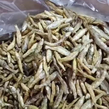 油炸麦穗鱼，无盐不苦的，质量好，价格实惠