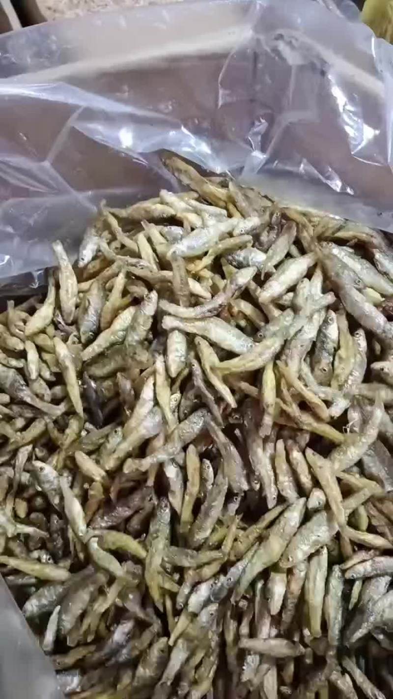 油炸麦穗鱼，无盐不苦的，质量好，价格实惠