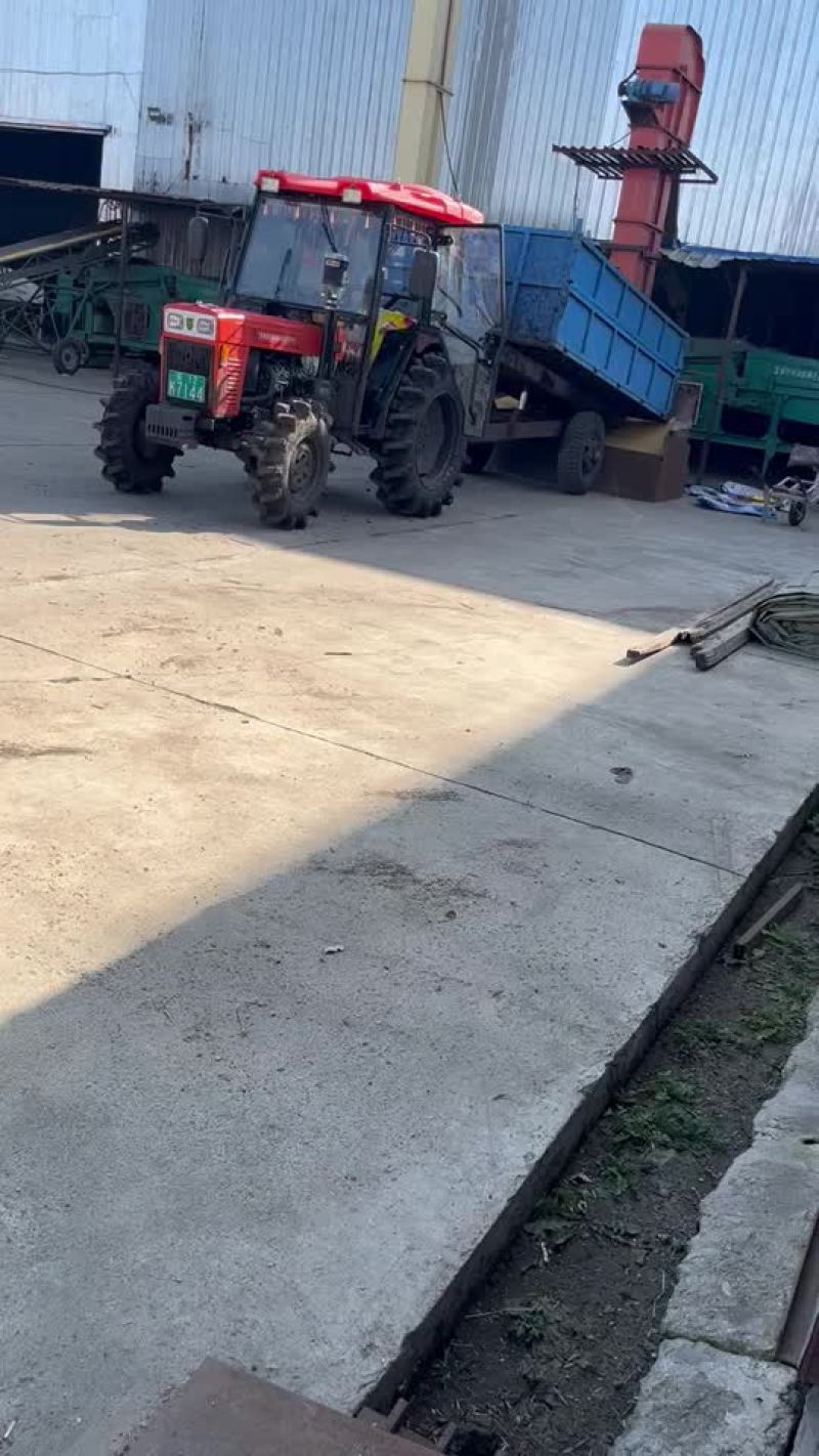 黄豆