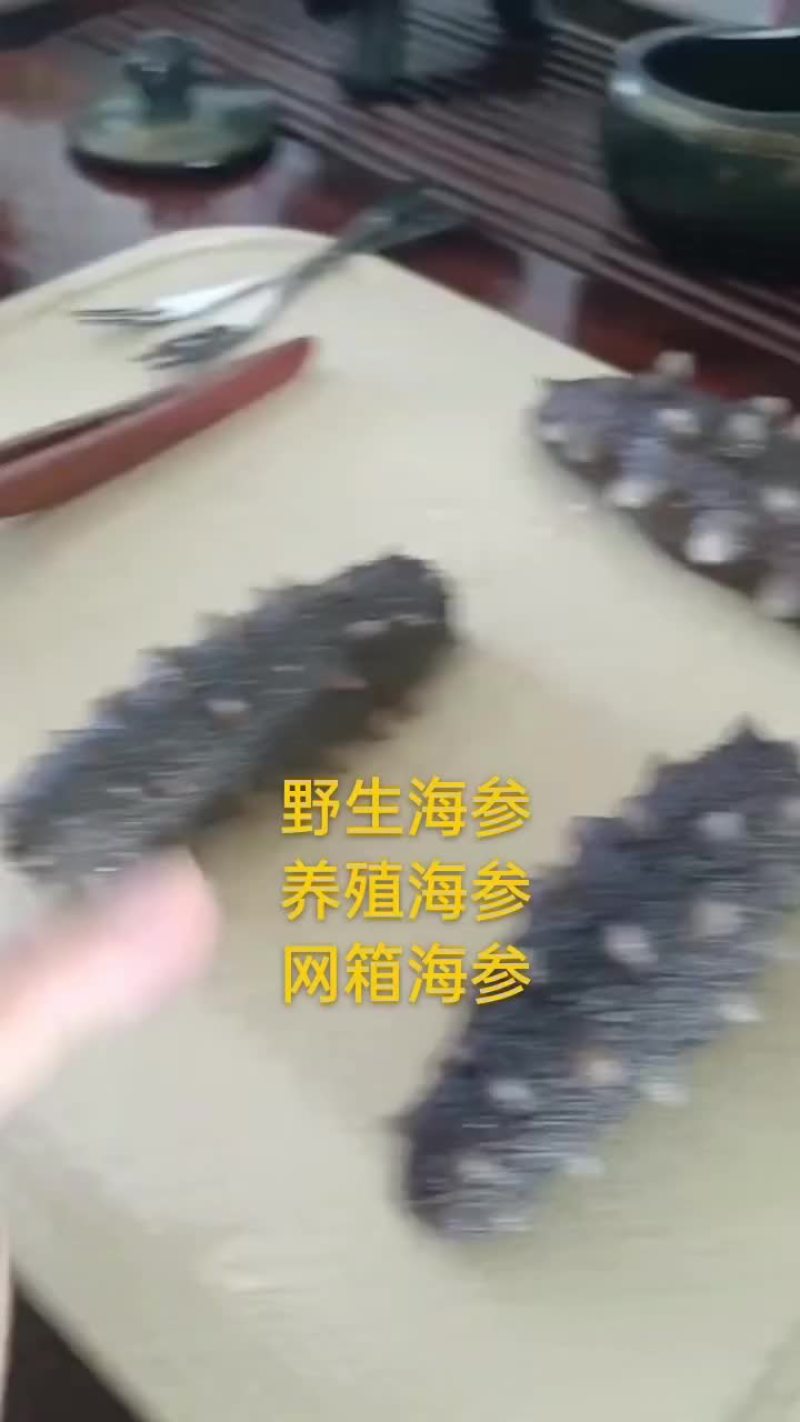 海参