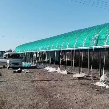养殖场天津生产厂家直销全国发货包工包料