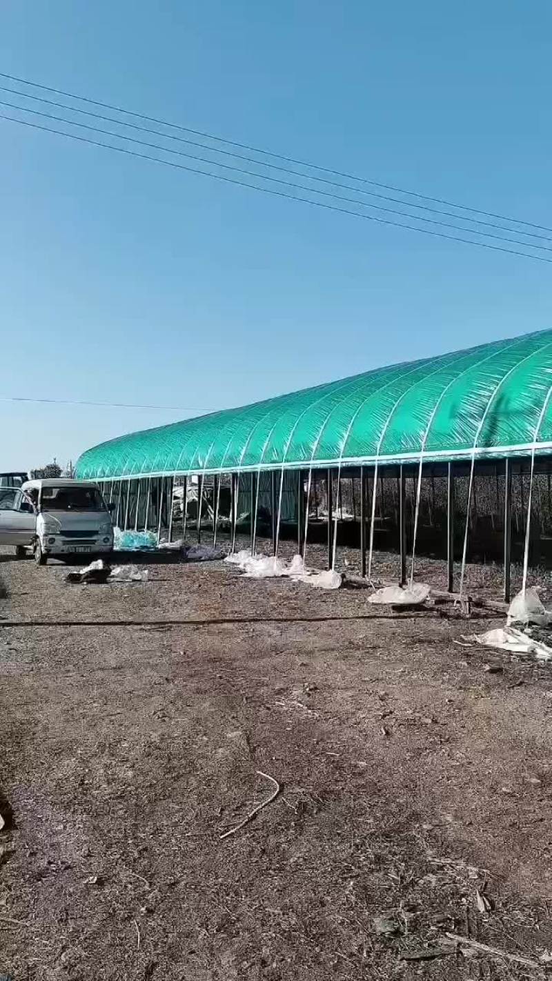 养殖场天津生产厂家直销全国发货包工包料