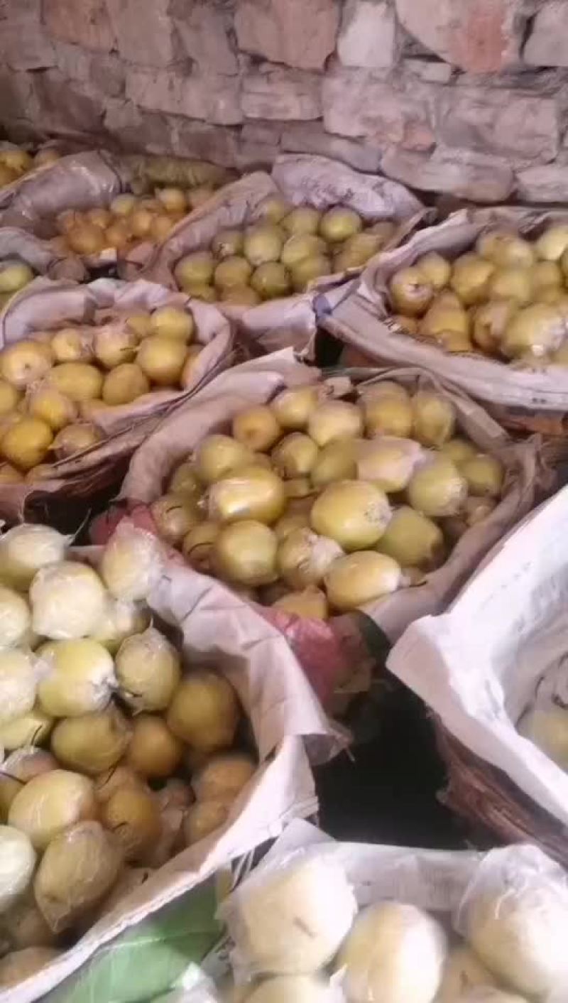 雪花梨，山坡地生涨口感甜脆多汁