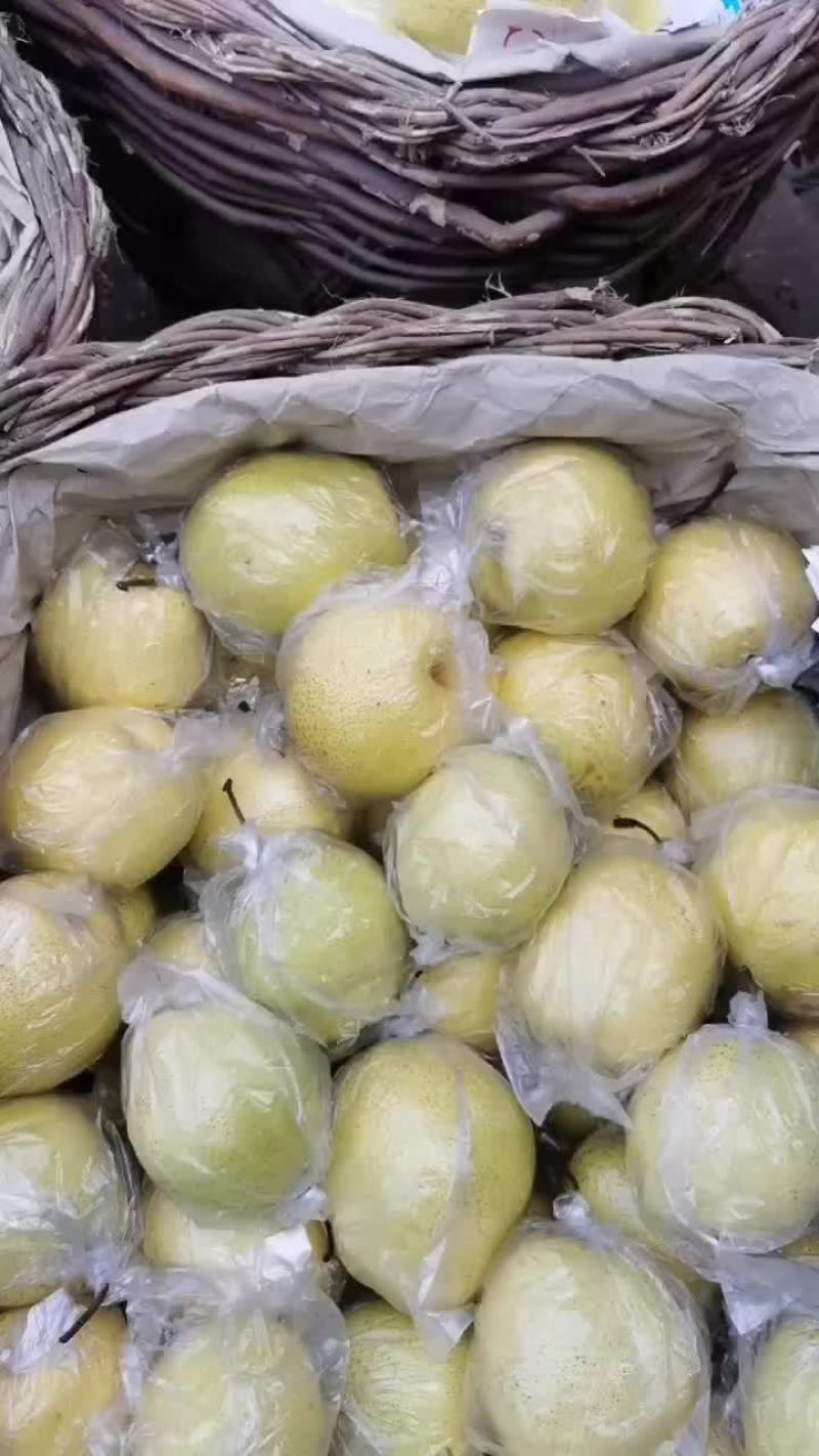 雪花梨，山坡地生涨口感甜脆多汁