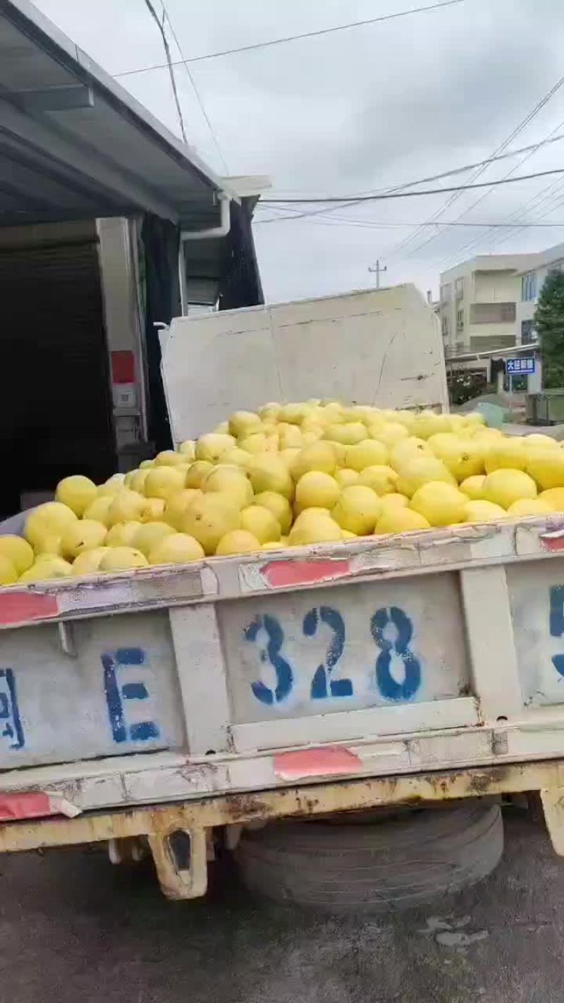 爆汁葡萄柚
