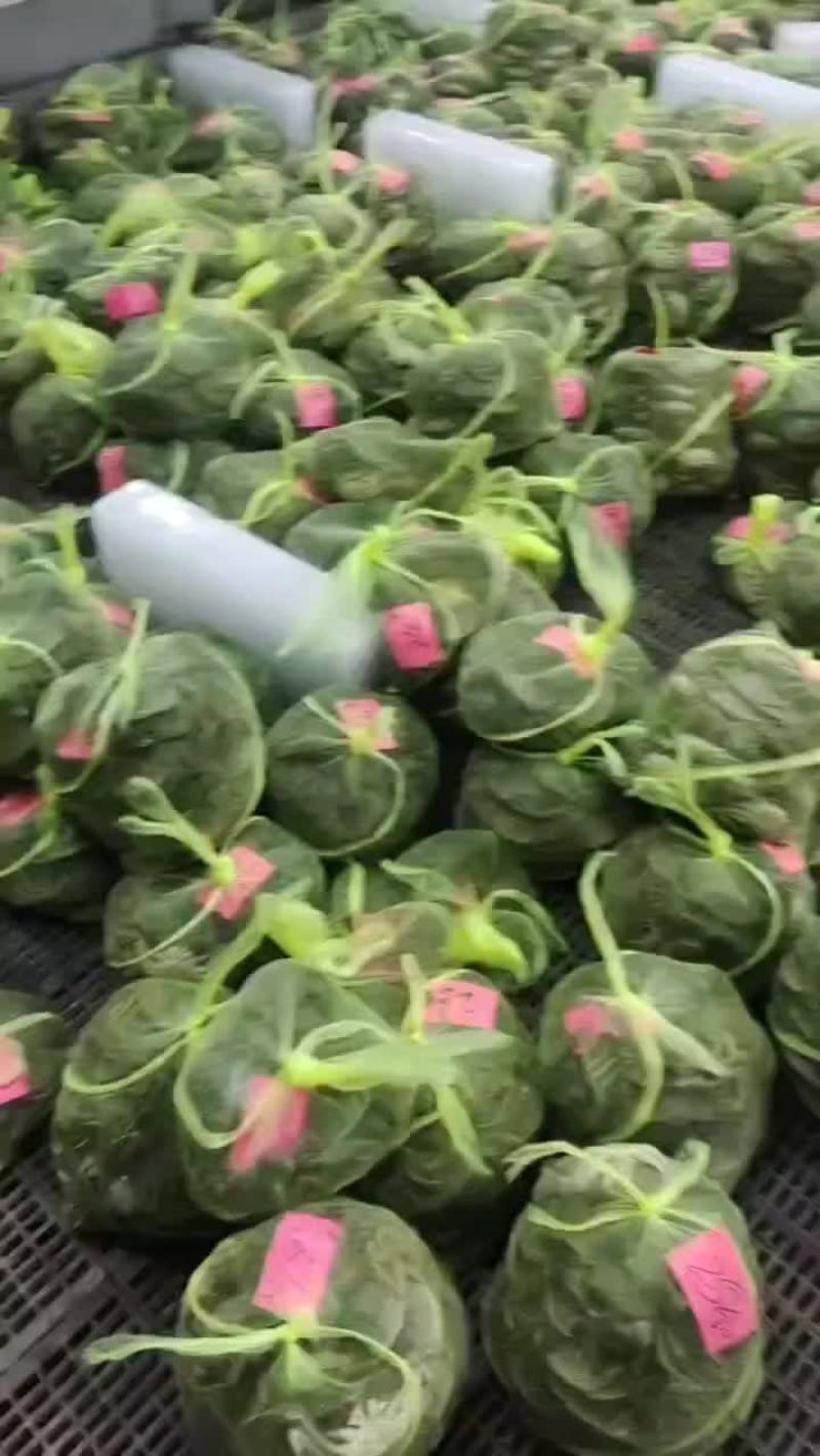 江苏大闸蟹