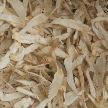 玉竹片