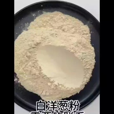 白洋葱粉高品质实物拍照支持验厂