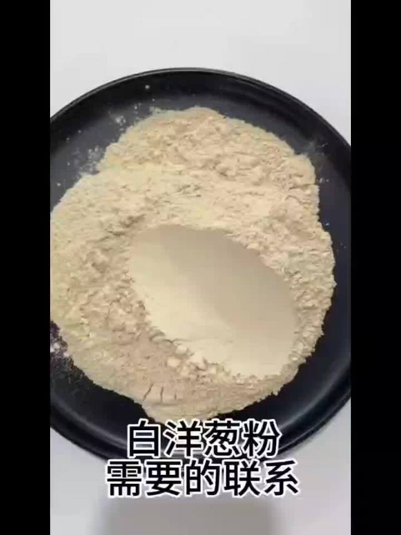 白洋葱粉高品质实物拍照支持验厂