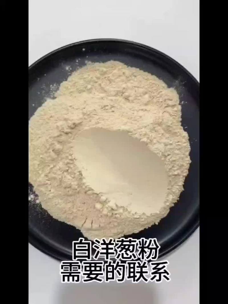 白洋葱粉高品质实物拍照支持验厂