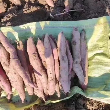 精品秦5大量出货