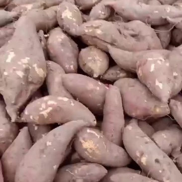 红薯