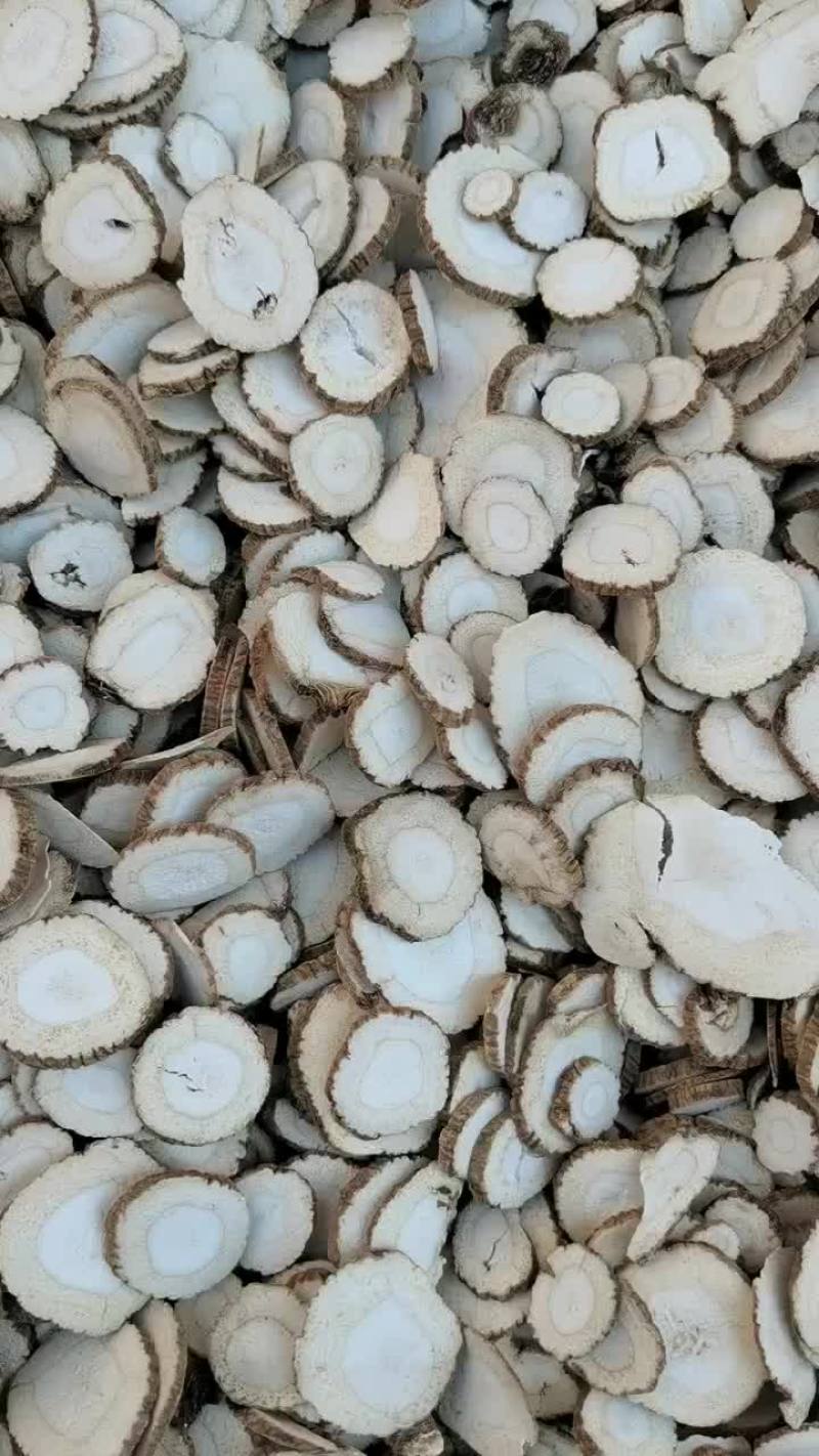 无硫黄白芷片各种规格