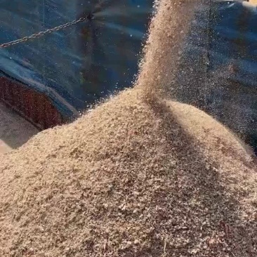 玉米芯颗粒