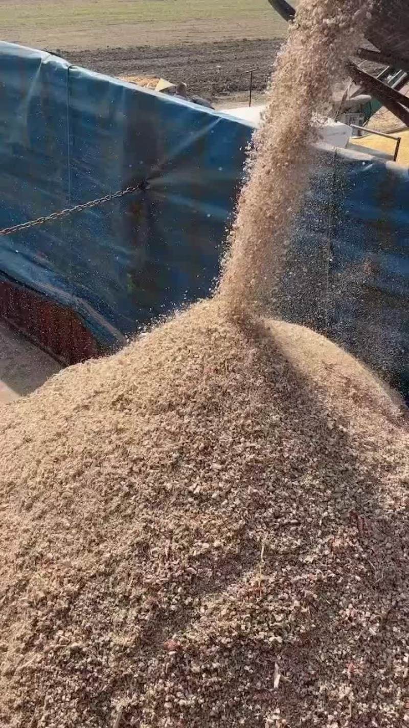 玉米芯颗粒