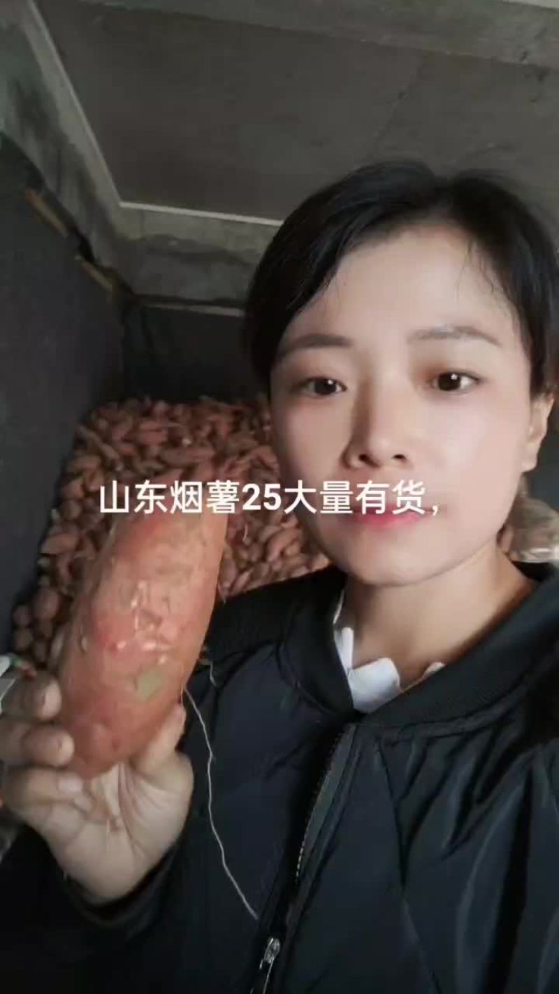 山东沙地优质烟薯253两以上红皮黄壤非常甜蜜薯货源充足