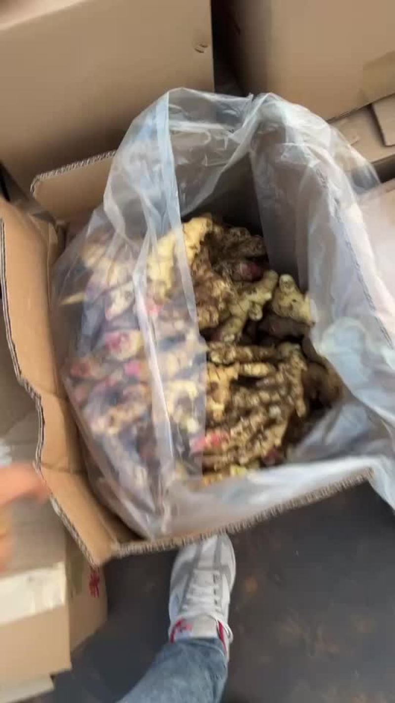 各种质量生姜大量有货