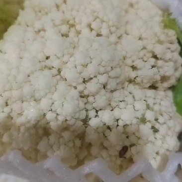 精品八零小米