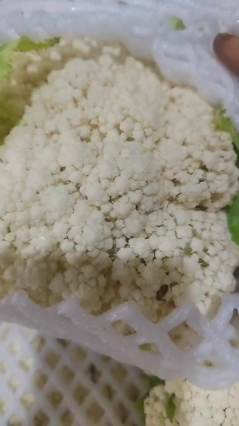 精品八零小米
