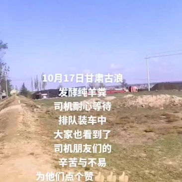 甘肃古浪发酵纯羊粪，货真价实，量大从优