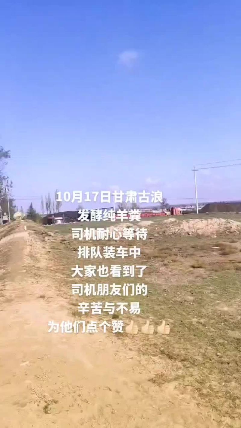 甘肃古浪发酵纯羊粪，货真价实，量大从优
