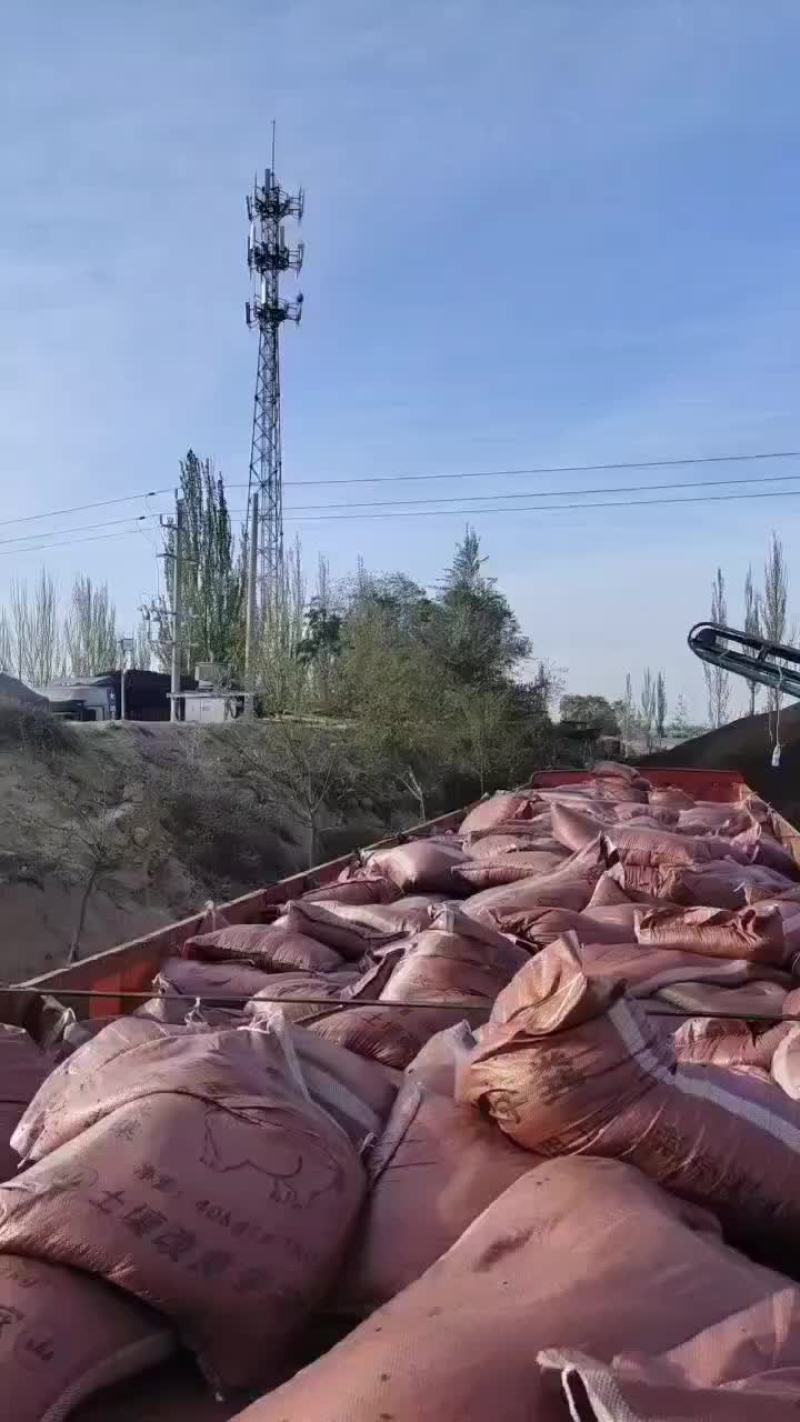 甘肃古浪发酵纯羊粪，货真价实，量大从优