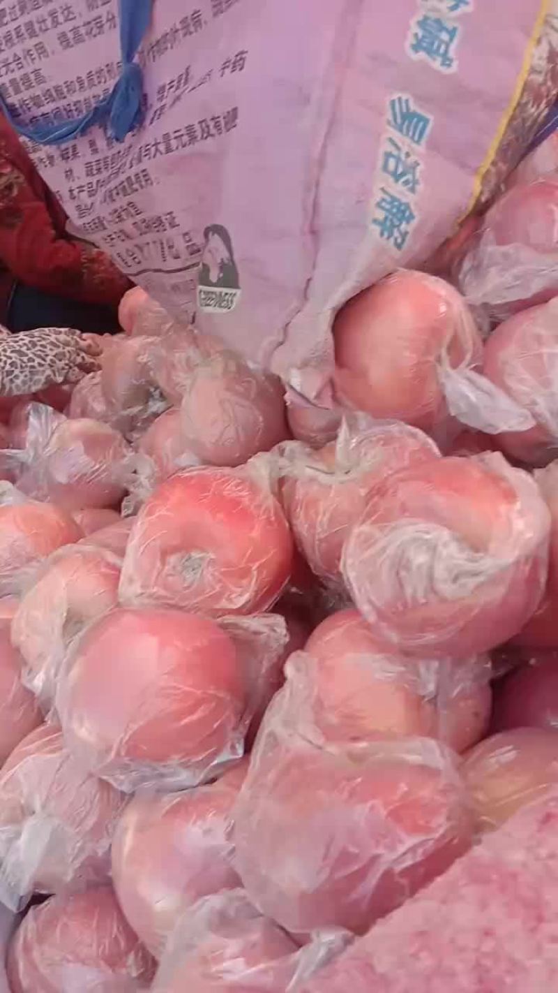 纸加膜红富士特级货