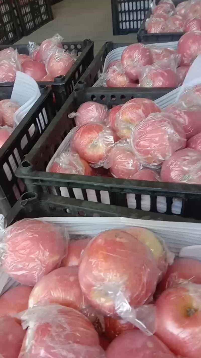纸加膜红富士特级货