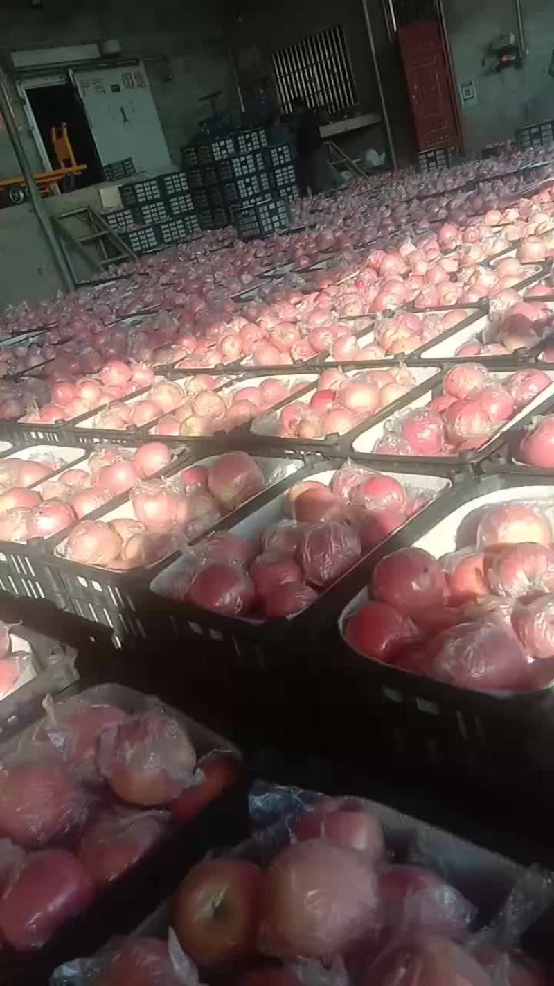 纸加膜红富士特级货