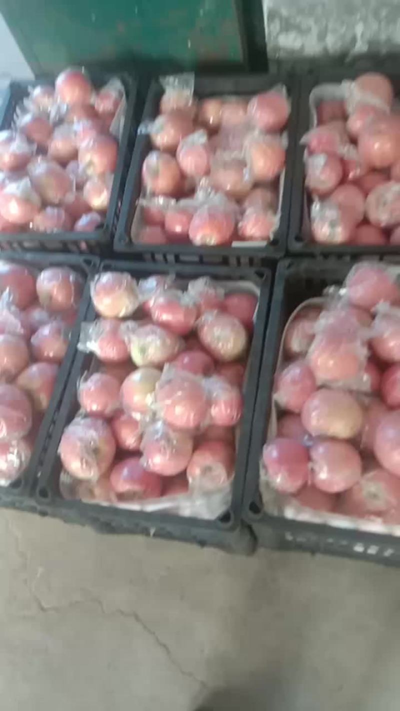 纸加膜红富士特级货