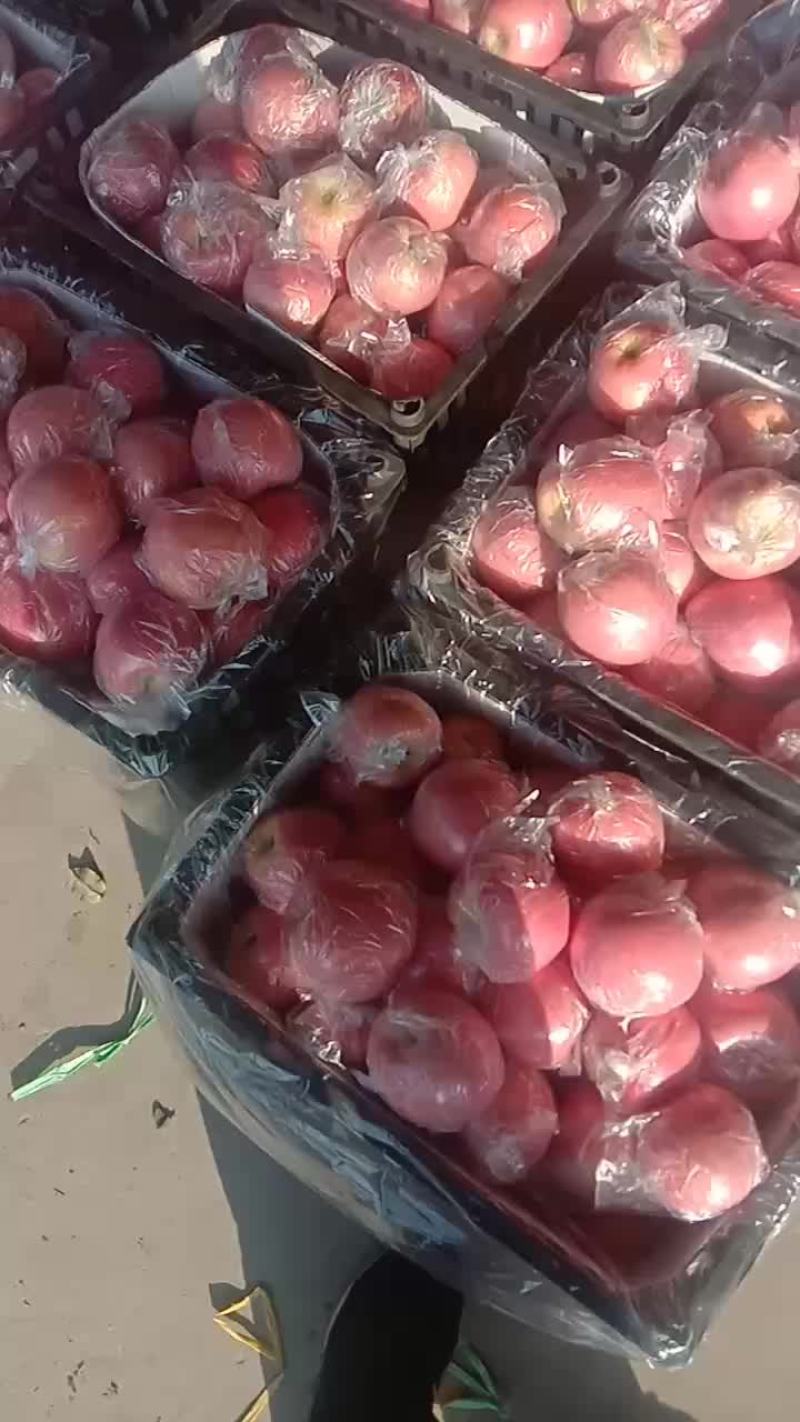 纸加膜红富士特级货