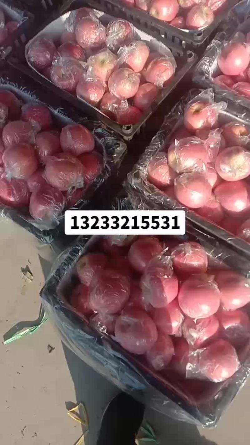 纸加膜红富士特级货