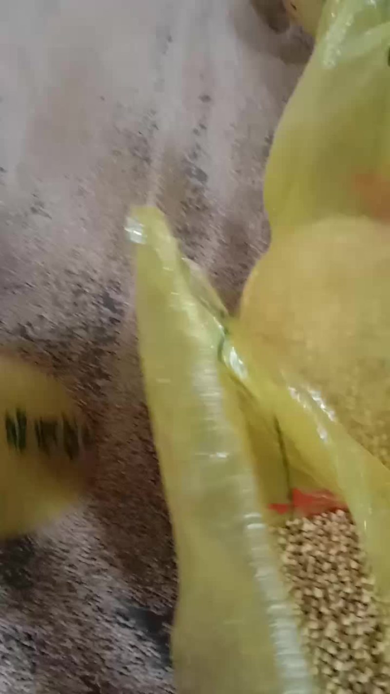 高蛋白黄豆大量供应